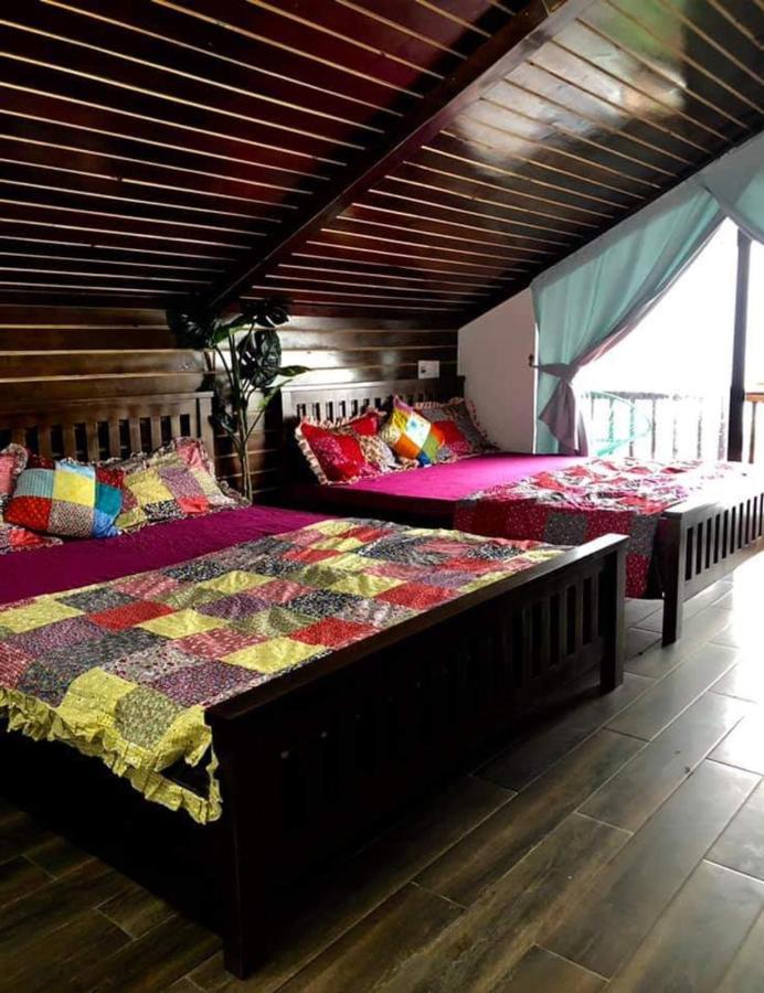 Roses Villa Tam Dao - Venuestay エクステリア 写真